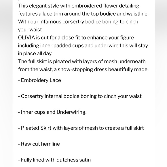 NWOT Nadine Merabi black/nude Olivia dress corseted embroidered lace - Picture 13 of 13